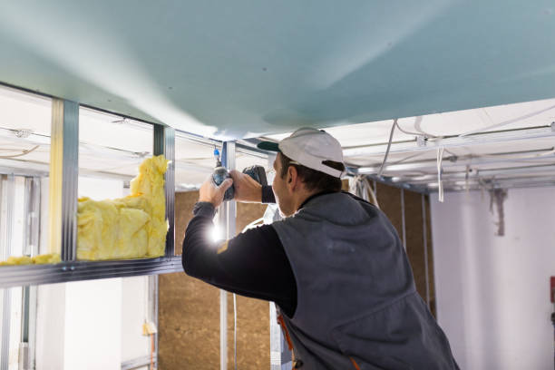 Best Soundproof Insulation Installation  in Roosevelt, NJ