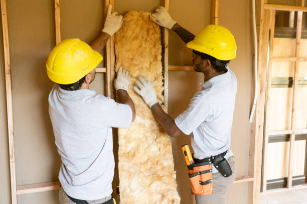 Best Professional Insulation Contractor  in Roosevelt, NJ